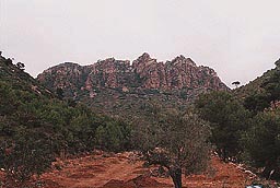 Pico del Garbi