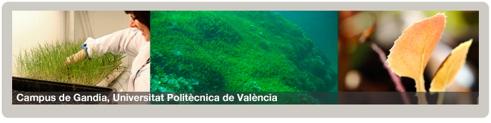 Grado en Ciencias Ambientales Grado en Ciencias Ambientales