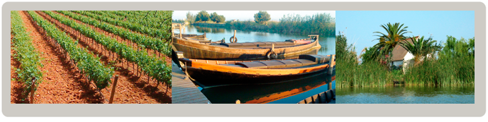 Máster Universitario en Economía Agroalimentaria y del Medio Ambiente Máster Universitario en Economía Agroalimentaria y del Medio Ambiente