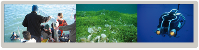 Máster Universitario en Evaluación y Seguimiento Ambiental de Ecosistemas Marinos y Costeros Máster Universitario en Evaluación y Seguimiento Ambiental de Ecosistemas Marinos y Costeros