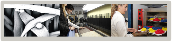 Máster Universitario en Ingeniería Textil Máster Universitario en Ingeniería Textil