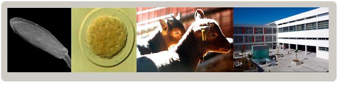 Máster Universitario en Mejora Genética Animal y Biotecnología de la Reproducción Máster Universitario en Mejora Genética Animal y Biotecnología de la Reproducción