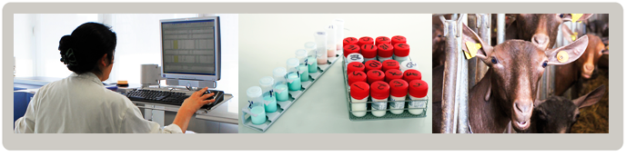 Máster Universitario en Producción Animal Máster Universitario en Producción Animal