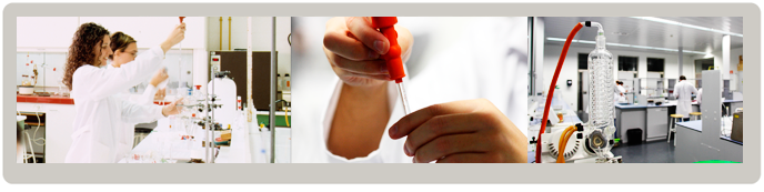 Máster Universitario en Química Orgánica Experimental e Industrial Máster Universitario en Química Orgánica Experimental e Industrial