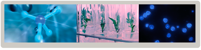 Máster Universitario en Química Sostenible Máster Universitario en Química Sostenible