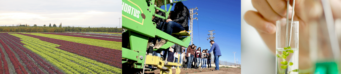 Grado en Ingeniera Agroalimentaria y del Medio Rural