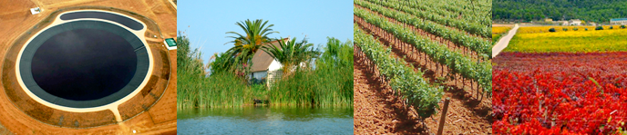 Doble Màster Universitari en Enginyeria Agronòmica + Economia Agroalimentària i del Medi Ambient