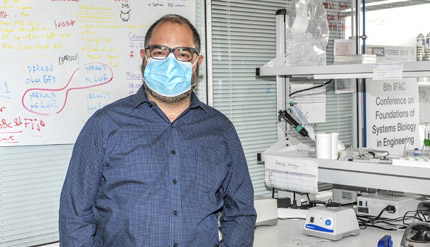 SynBioPython. La UPV trabaja en un software estandarizado para la biolog�a sint�tica