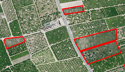 Geolocalizaci�n de parcelas . Teledetecci�n para estudiar el abandono a nivel de parcela catastral