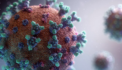 Seguimiento COVID-19 . Nueva web con historial de casos COVID-19 entre PAS y PDI