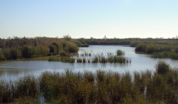 Estructures d'investigació