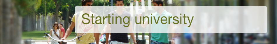 banner UPV
