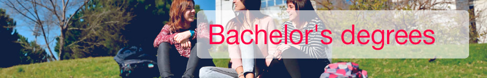 Bachelor's degrees