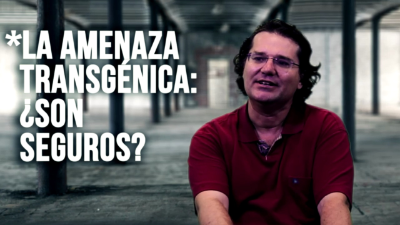 The transgenic threat