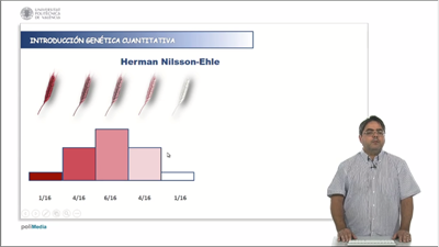 UPV [Media] - Gen�tica cuantitativa 