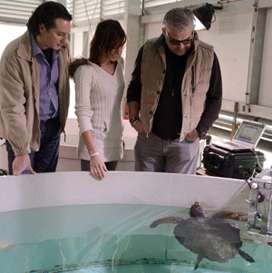 Investigación con sónar Investigación con sónar