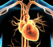 Investigaci�n sobre el infarto de miocardio