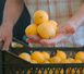 Premio Alimentos de Espa�a 2026