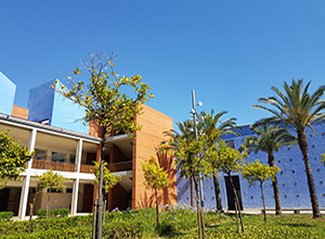Preinscripción para Másteres Universitarios en el Campus de Gandia UPV 