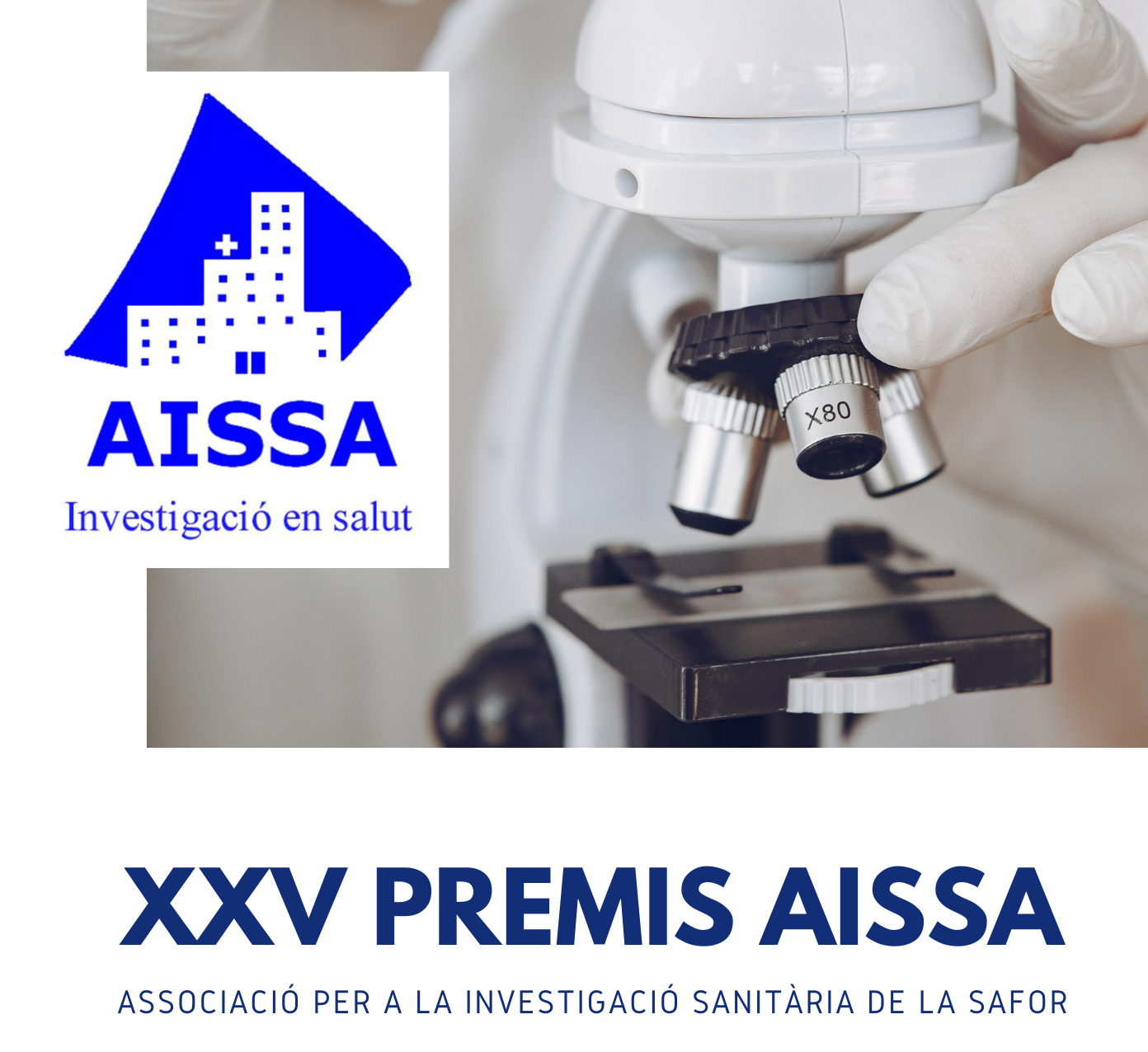 XXV Premios AISSA