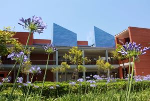 Doctorado en Ciencia y Tecnologa Marina y Costera