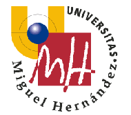 Universitad Miguel Hernndez (Elx)