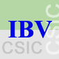 Instituto de Biomedicina de Valencia (IBV, CSIC)