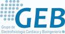Grupo de Electrofisiologa Cardaca y Bioingeniera