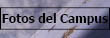 �lbum del Campus de Gandia en Flickr