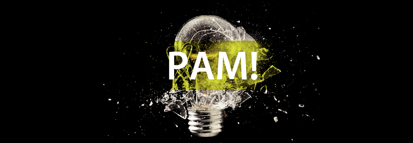 PAM: Muestra de Producciones Art�sticas Y Multimedia