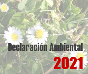 Declaración Ambiental UPV 2021