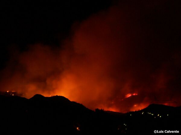 Los montes de Naquera ardiendo 13/08/2004