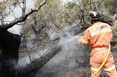 Extinción. Un bombero refresca una de las zonas quemadas en el incendio de Náquera. Juan Navarro