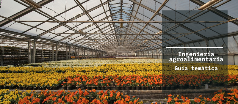 Ingeniería Agroalimentaria
