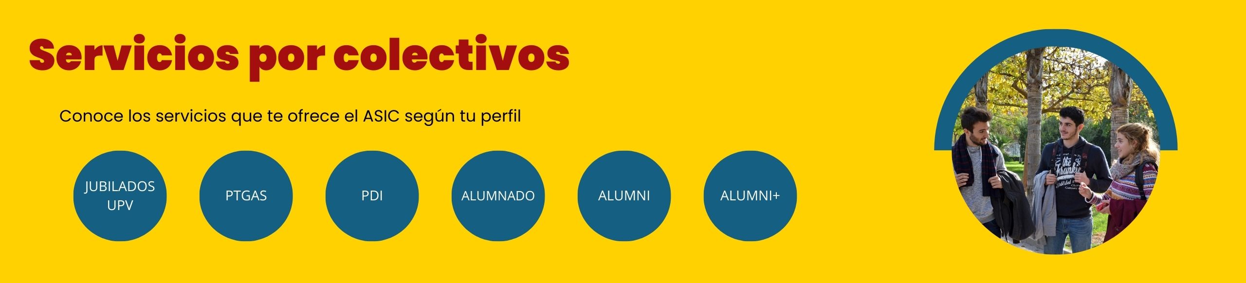 Servicios por colectivos bis