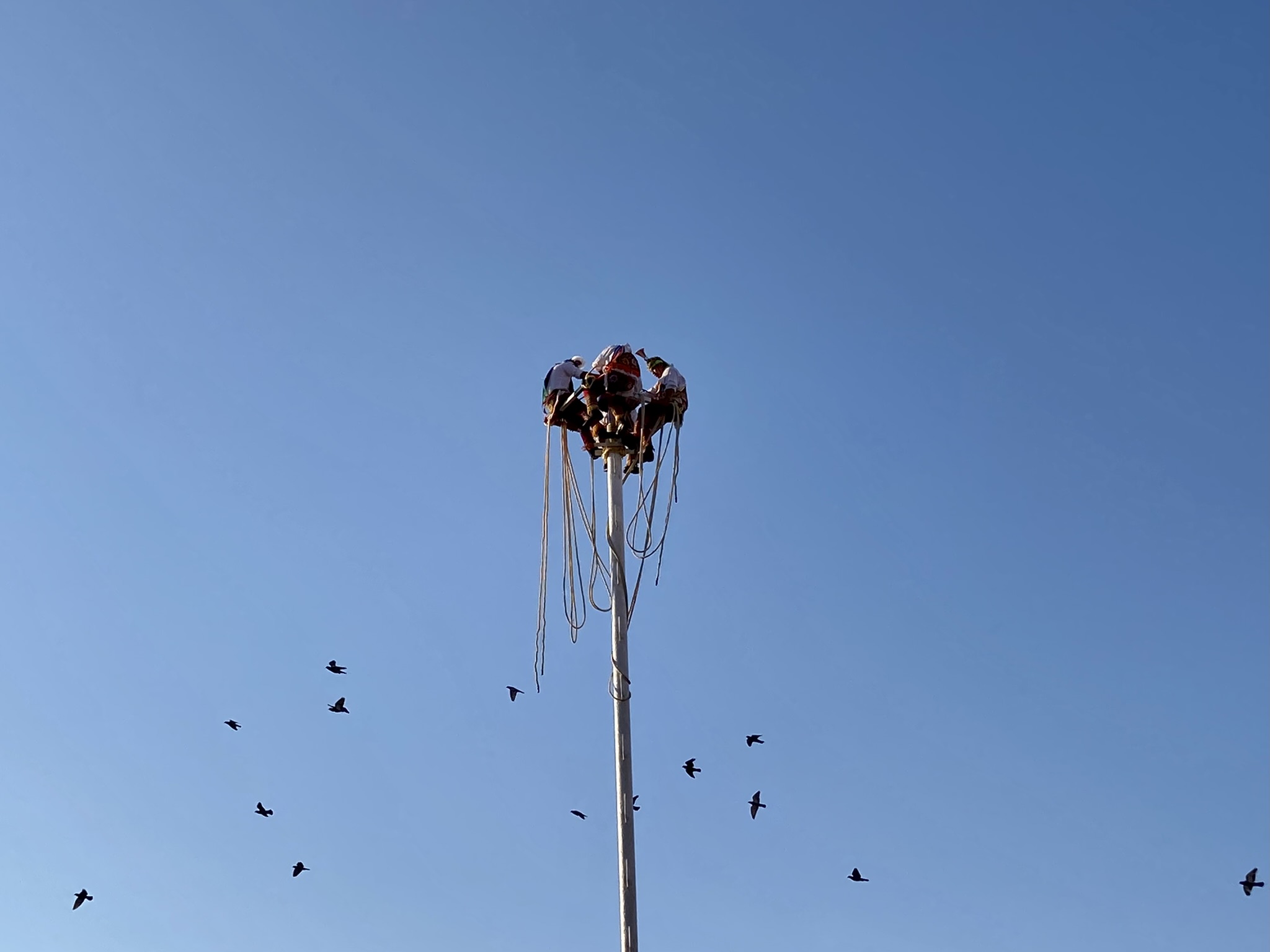 Danza Voladores