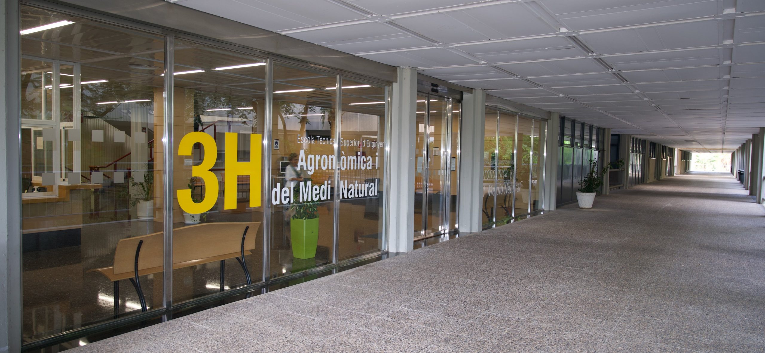 UPV - Escuela Técnica Superior de Ingeniería Agronómica y del Medio Natural ETSIAMN, ingenierías y estudios técnicos en Valencia