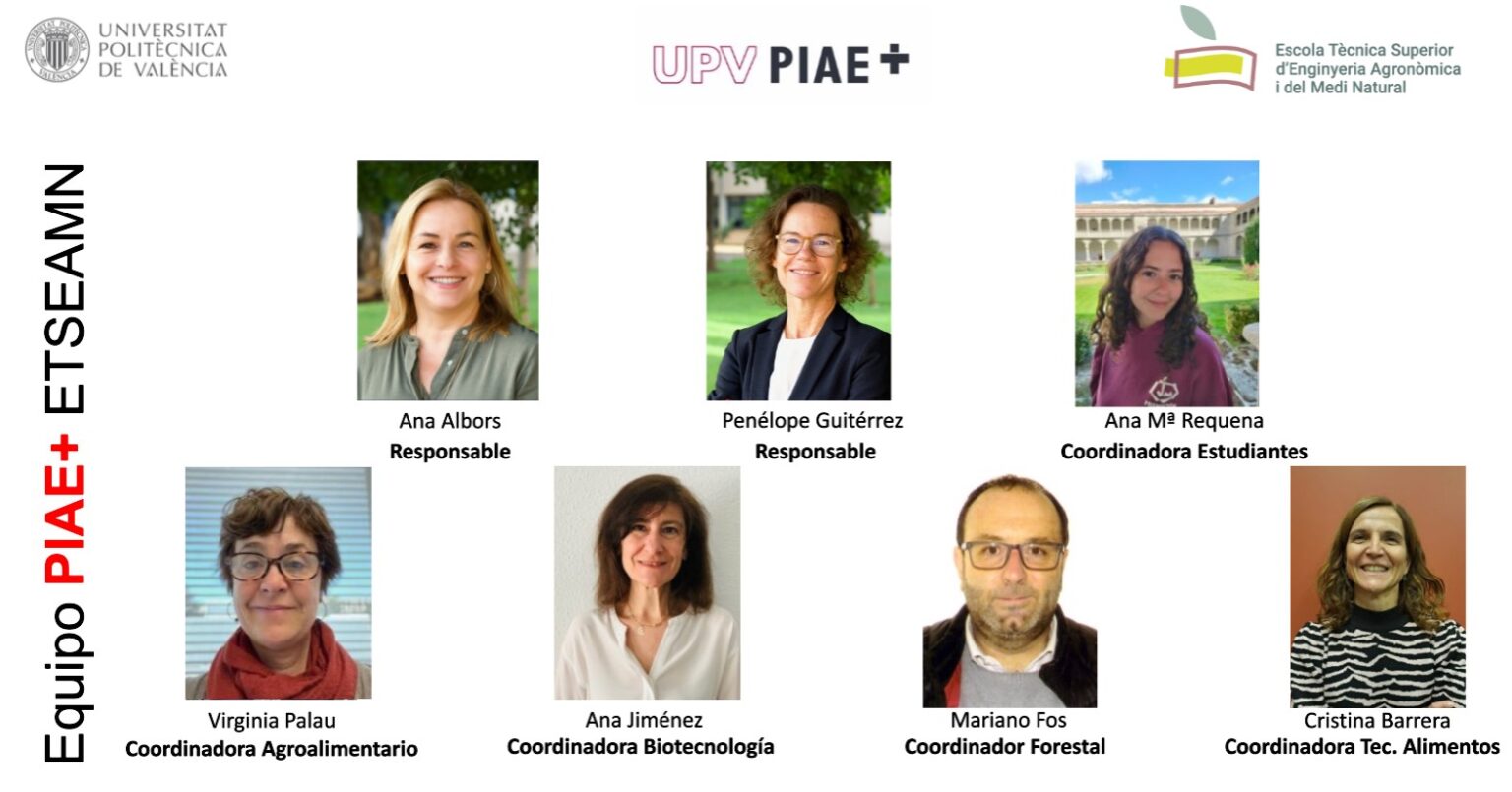 Piae PIAE+ (Jornadas Acogida y Acompañamiento Integral) | ETSIAMN | UPV