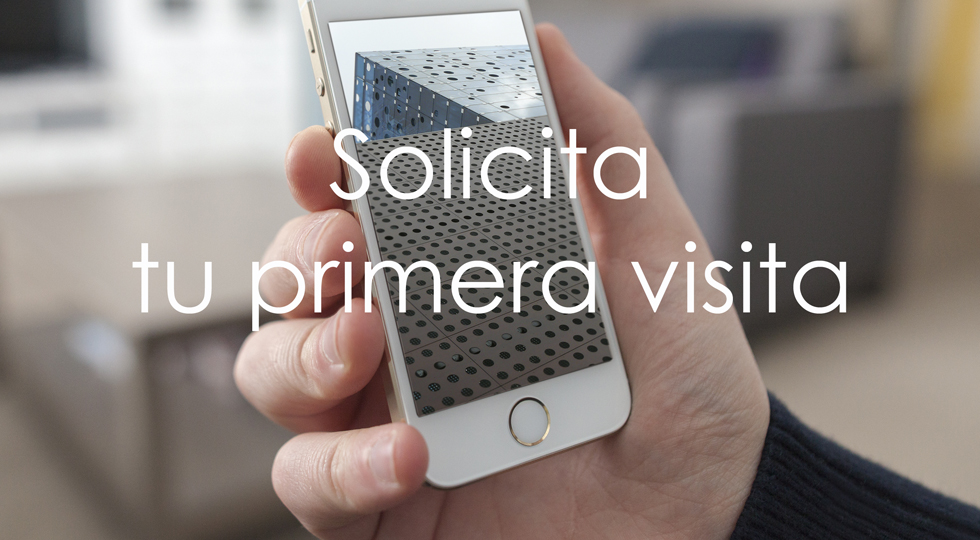 ideas upv primera visita