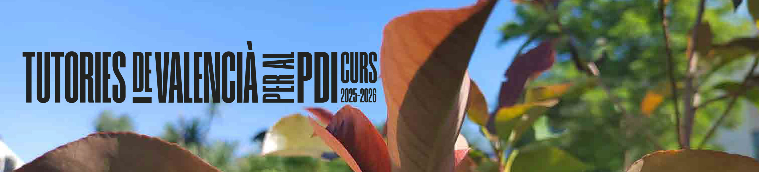 Tutories per al PDI