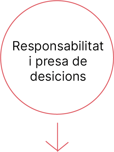responsabilitat i presa de desicions