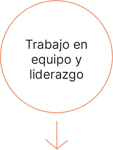 Trabajo en equipo y liderazgo
