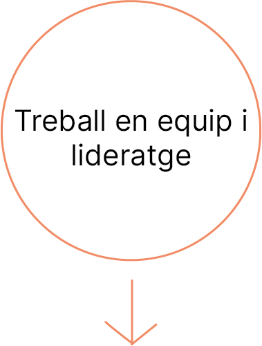 treball en equip