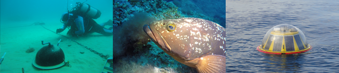 Double Bachelor's Degree in Environmental Sciences and Marine Sciences and Technologies