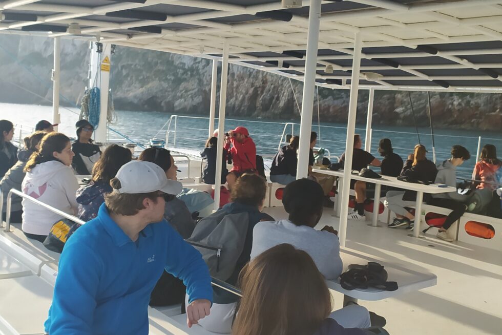 Vista Cabo San Antonio