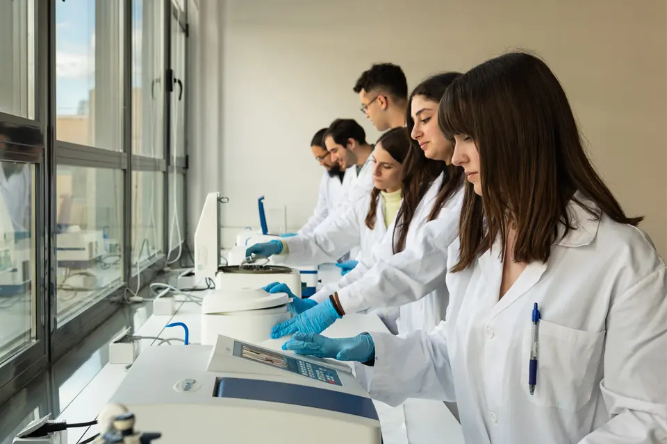 Lab