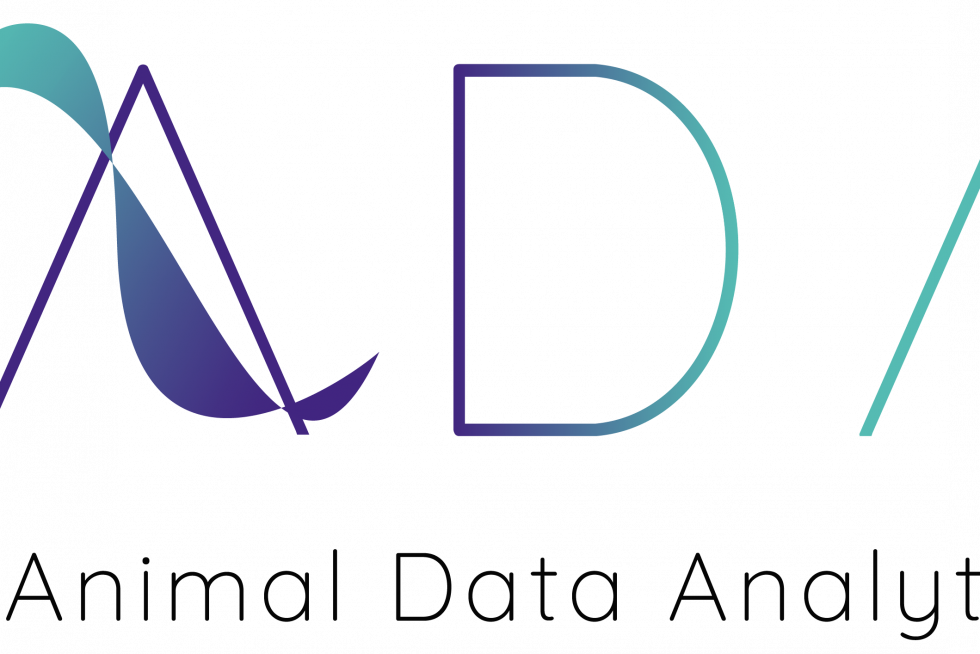 ANIMAL DATA ANALYTICS