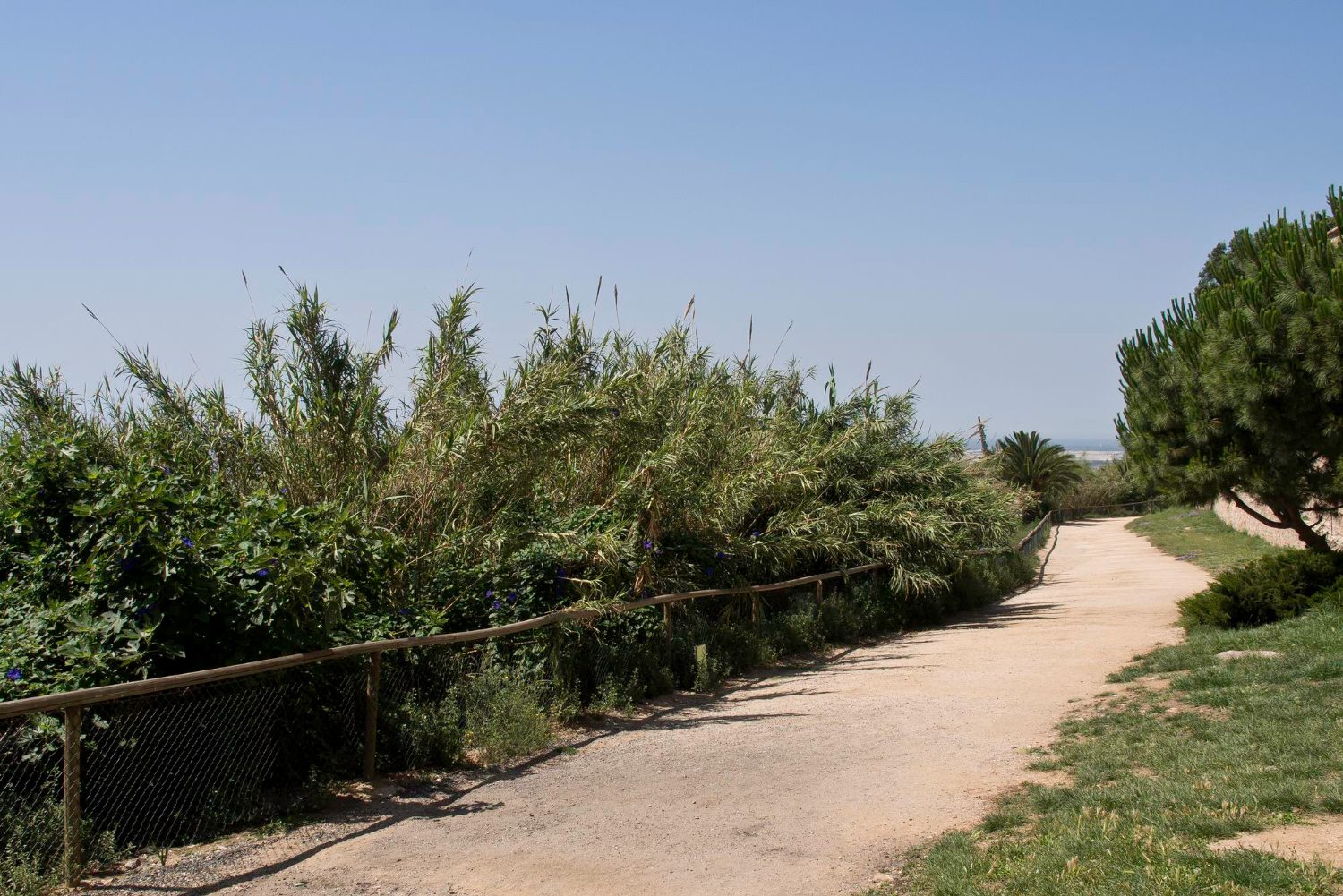 Path