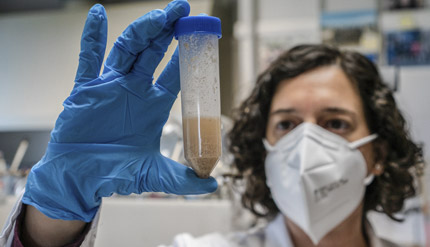 Coeliac disease. Researchers develop a new device to detect gluten more efficiently