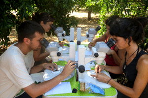 Proyecto COLBICS Proyecto COLBICS